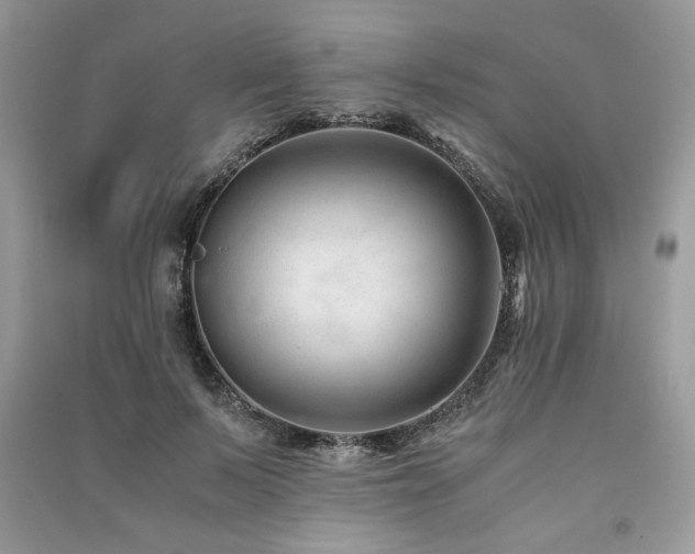 X0000091220695200708091408
