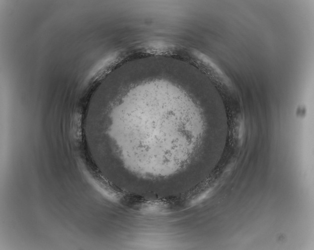 X0000091220696200708091408