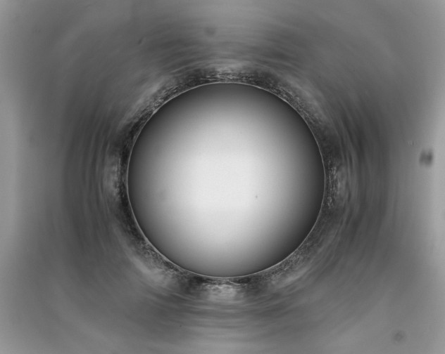 X0000091220698200708091408