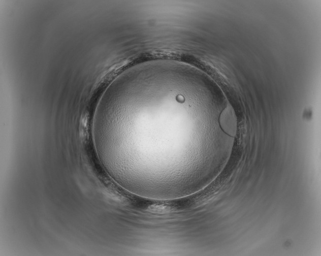 X0000091220699200708091408