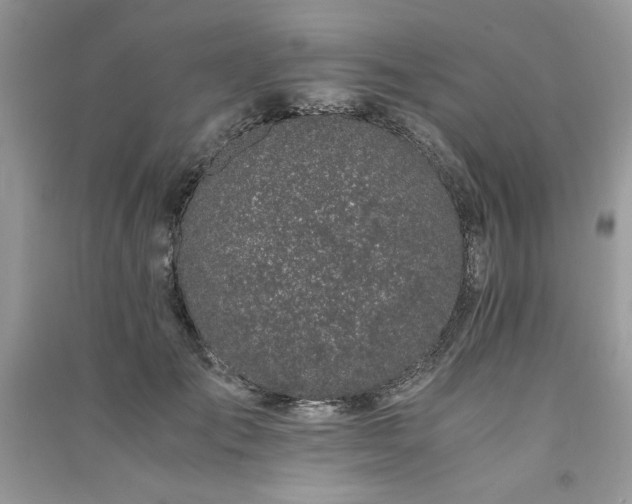 X0000091220701200708091408