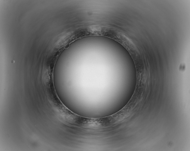 X0000091220702200708091408