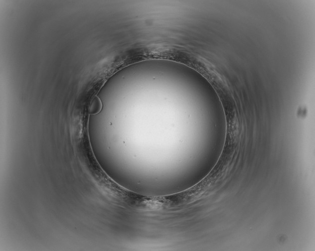 X0000091220703200708091408