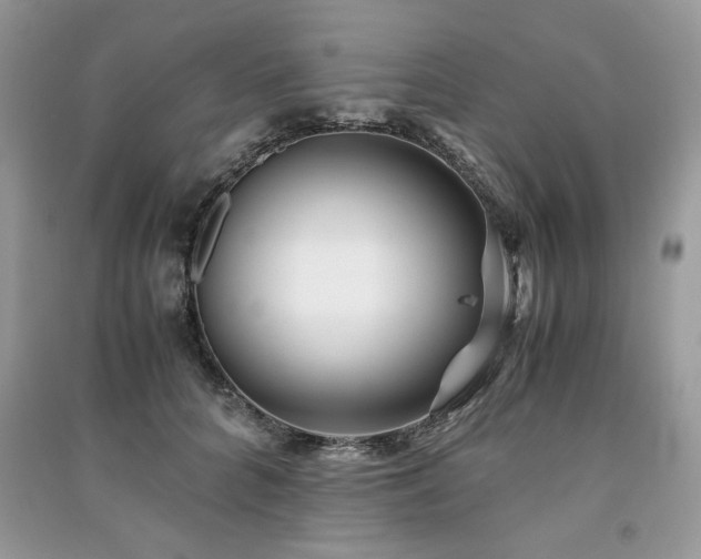 X0000091220704200708091408