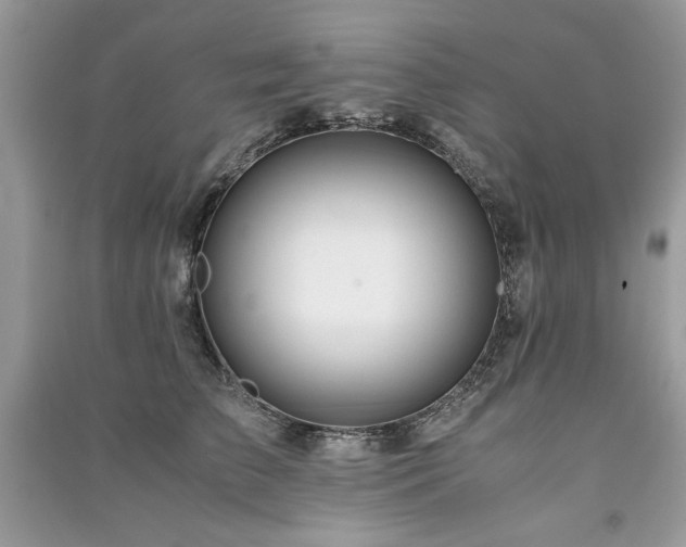 X0000091220709200708091408