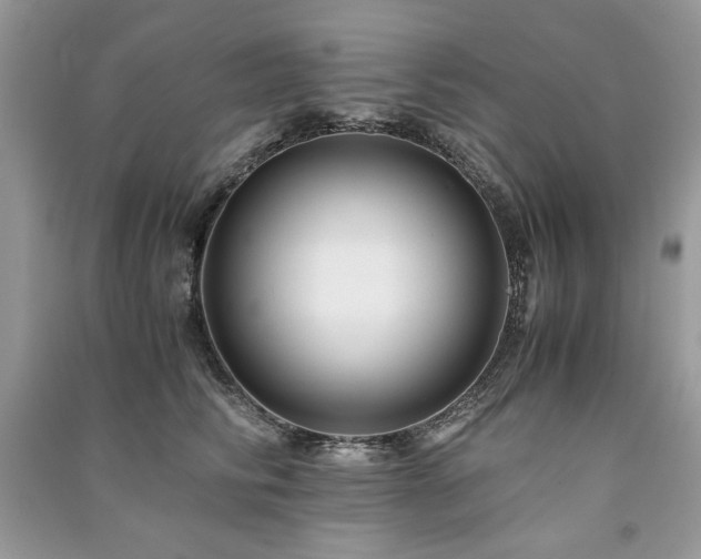 X0000091220710200708091408