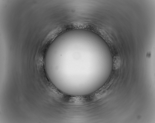 X0000091220713200708091408