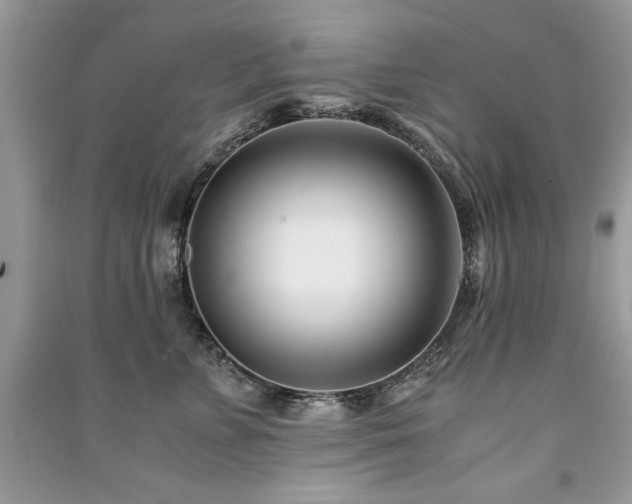 X0000091220715200708091408