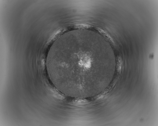 X0000091220716200708091408