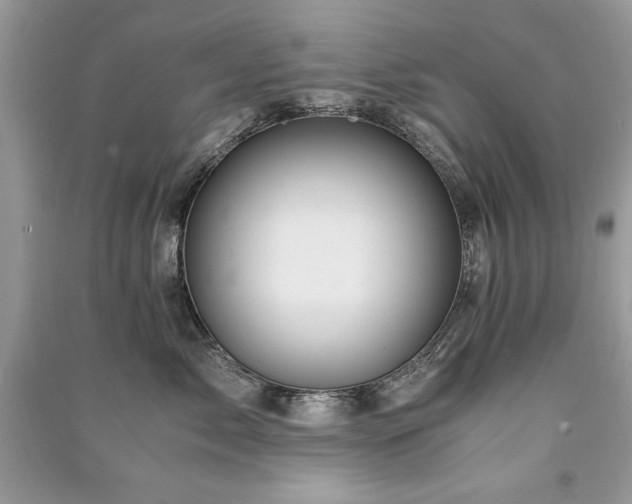 X0000091220717200708091408