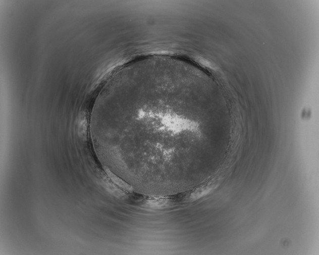 X0000091220720200708091408