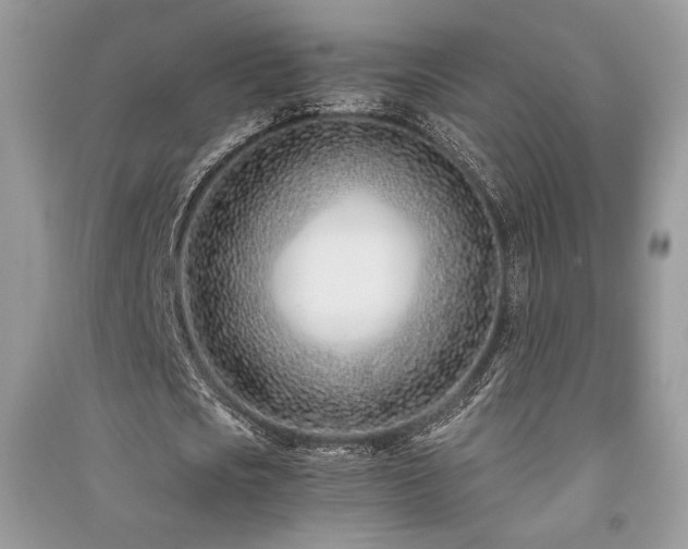 X0000091220721200708091408