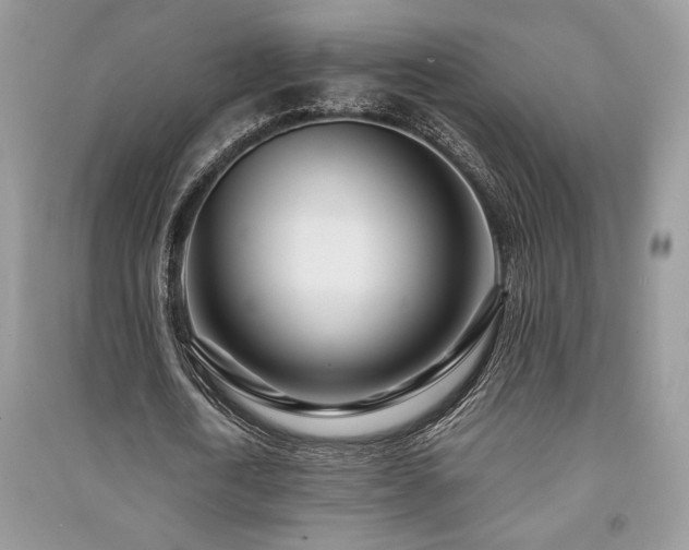 X0000091220722200708091408