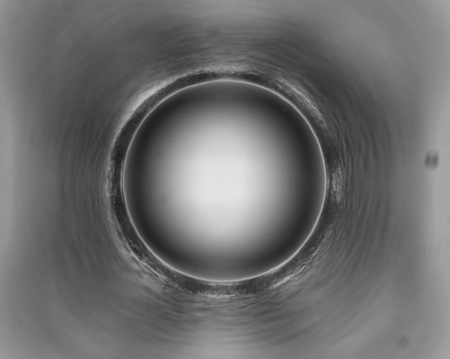 X0000091220724200708091408