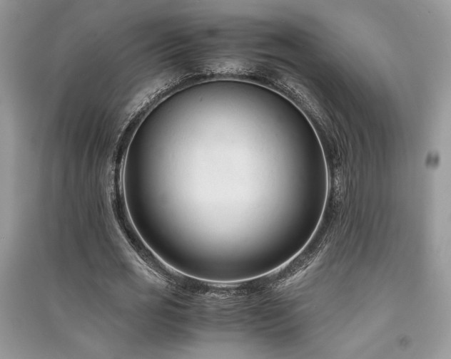 X0000091220725200708091408