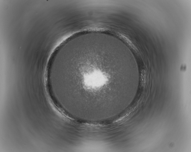 X0000091220726200708091408