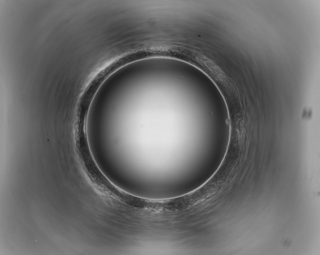 X0000091220728200708091408