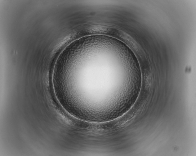 X0000091220729200708091408