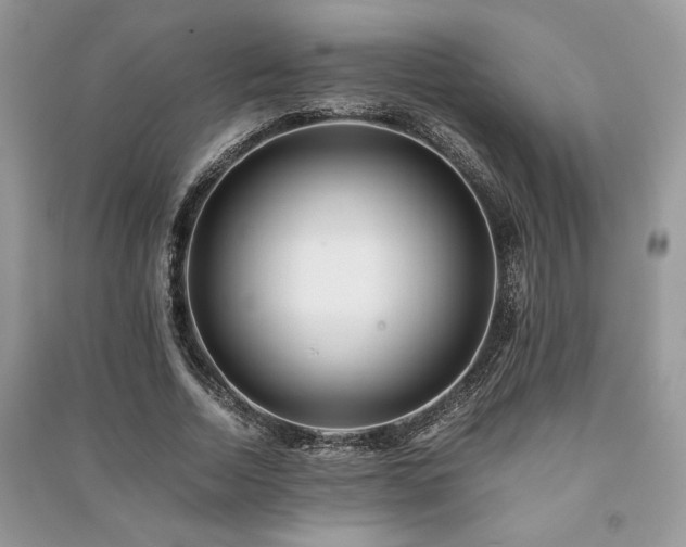 X0000091220730200708091408