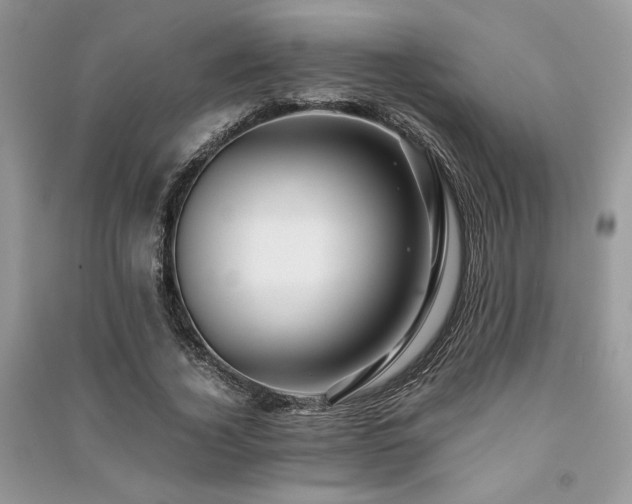 X0000091220732200708091408
