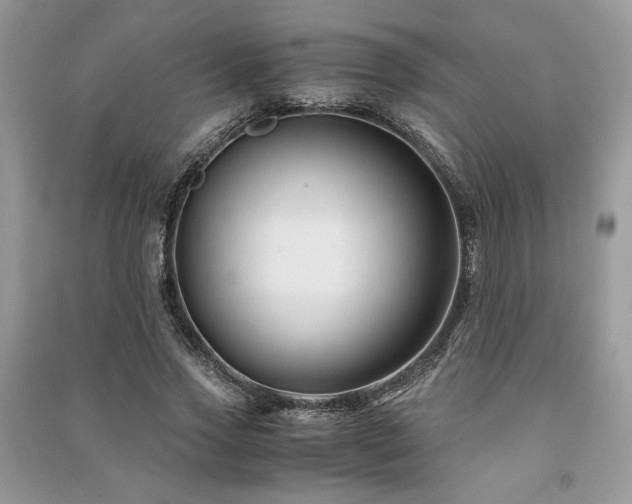 X0000091220733200708091408
