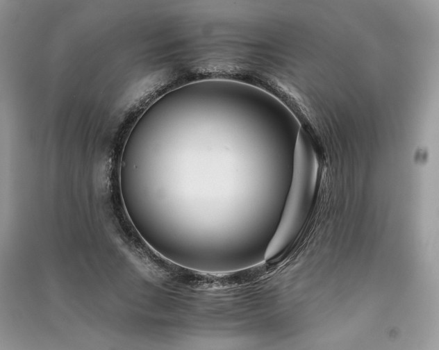 X0000091220735200708091408