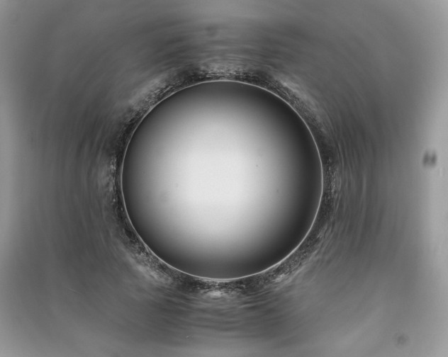 X0000091220737200708091408