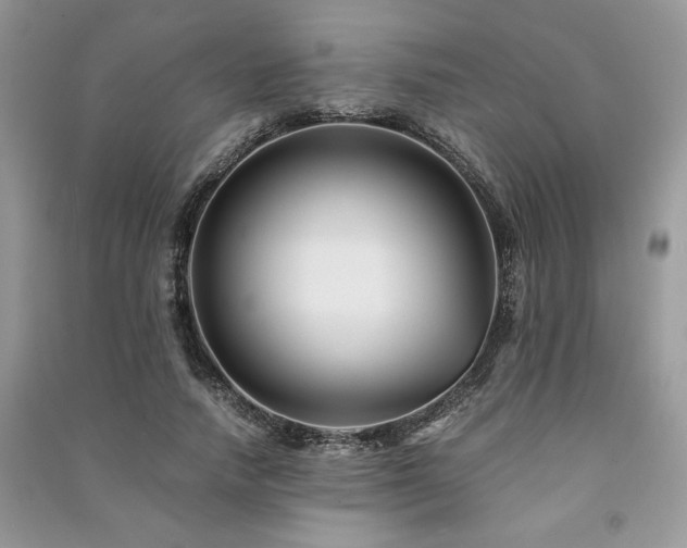 X0000091220738200708091408