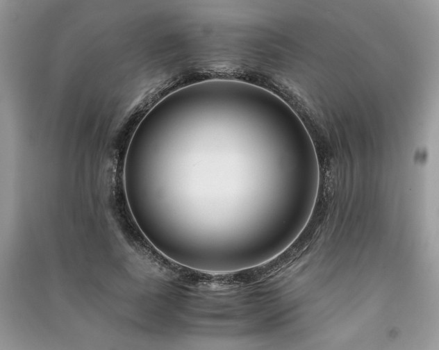 X0000091220739200708091408