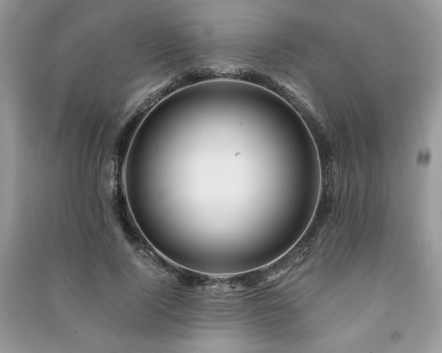 X0000091220740200708091408