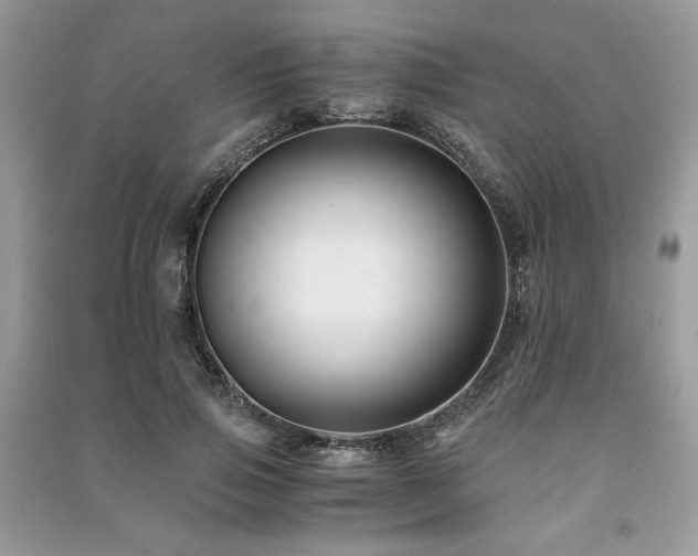X0000091220741200708091408