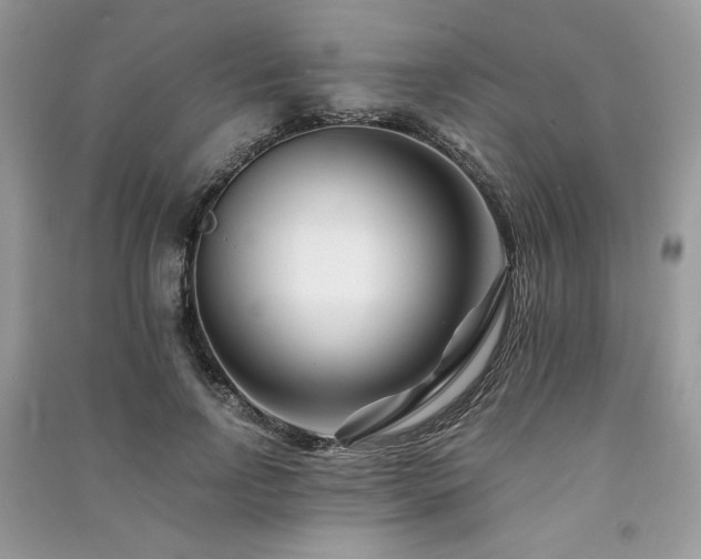 X0000091220742200708091408