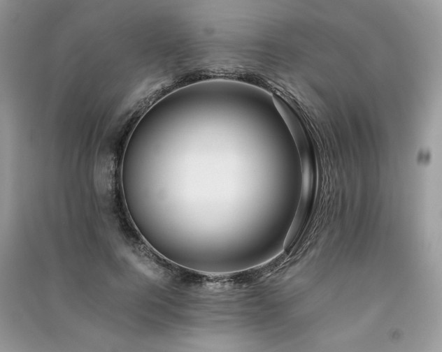 X0000091220744200708091408