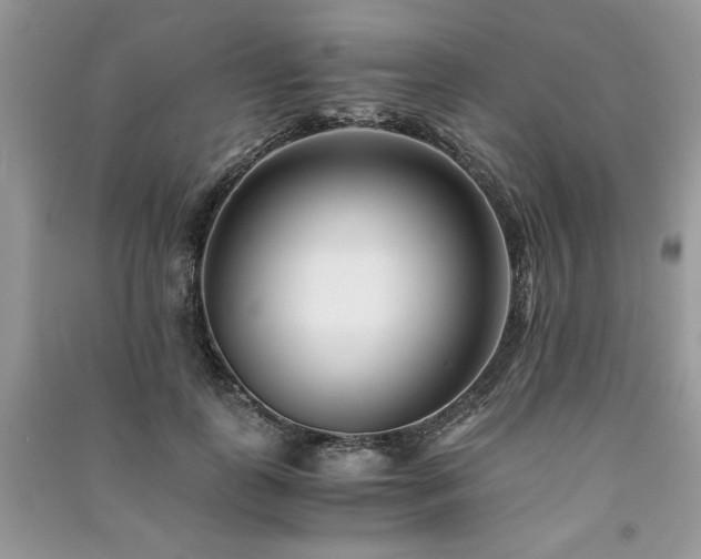 X0000091220747200708091408