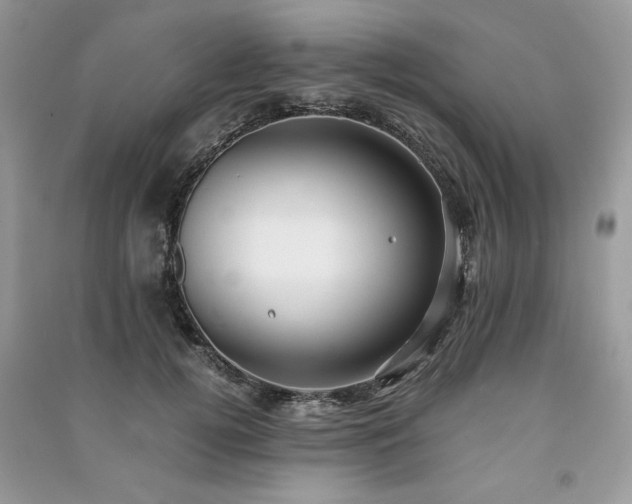 X0000091220752200708091408