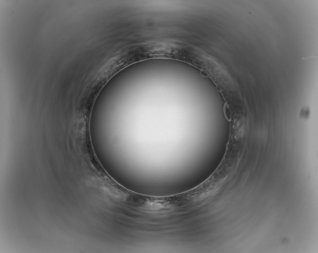X0000091220753200708091408