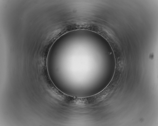 X0000091220756200708091408