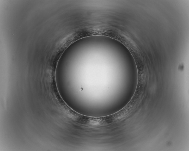 X0000091220757200708091408