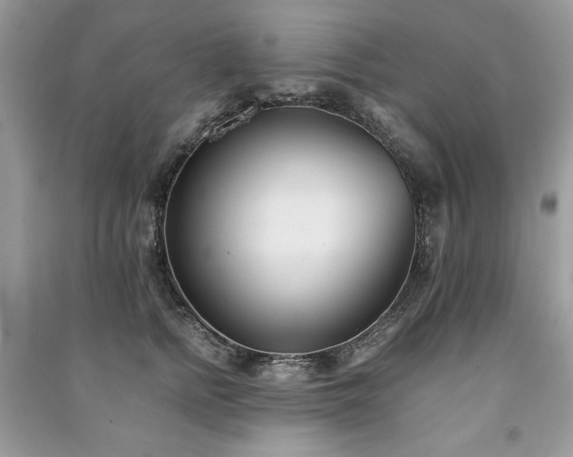 X0000091220758200708091408