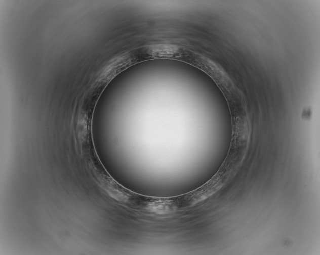 X0000091220761200708091408