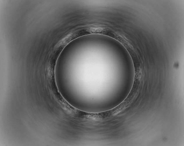 X0000091220763200708091408