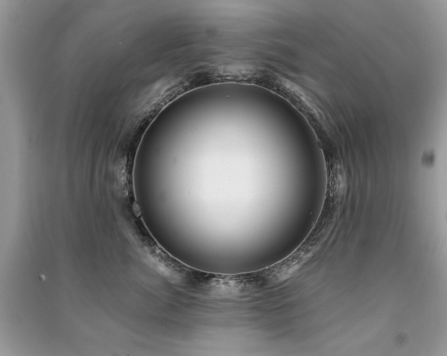 X0000091220764200708091408
