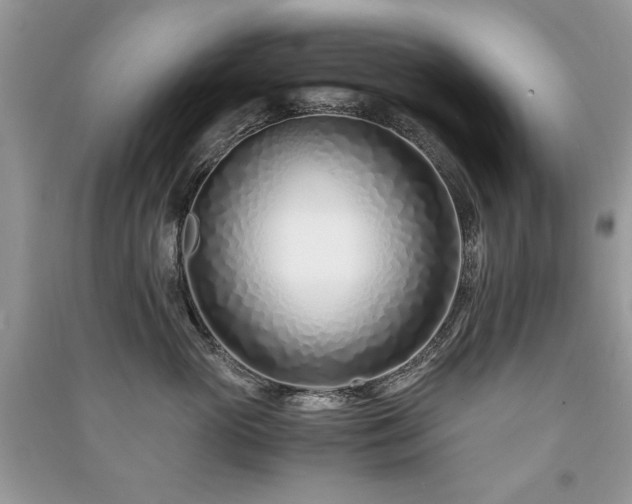 X0000091220765200708091408
