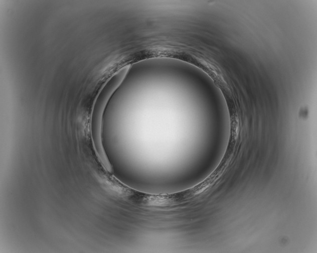 X0000091220766200708091408
