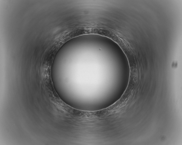 X0000091220770200708091407