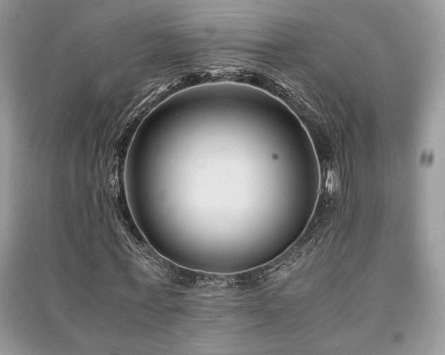 X0000091220771200708091407