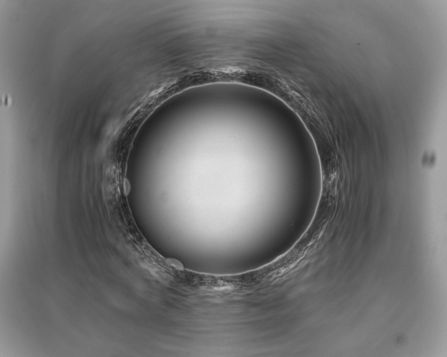 X0000091220772200708091407