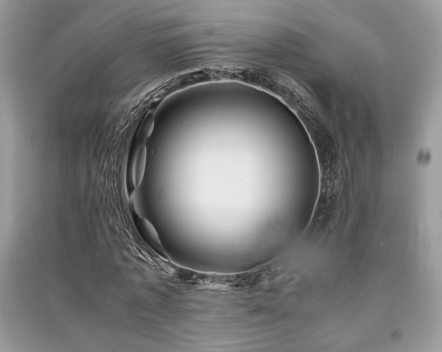 X0000091220773200708091407