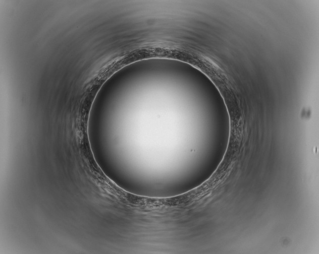 X0000091220774200708091407