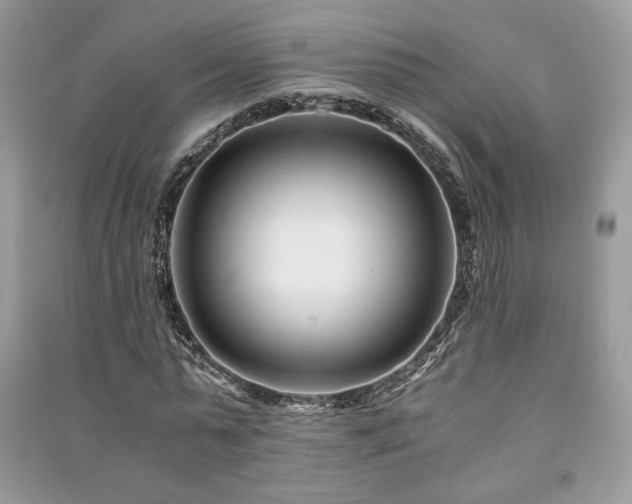 X0000091220775200708091407